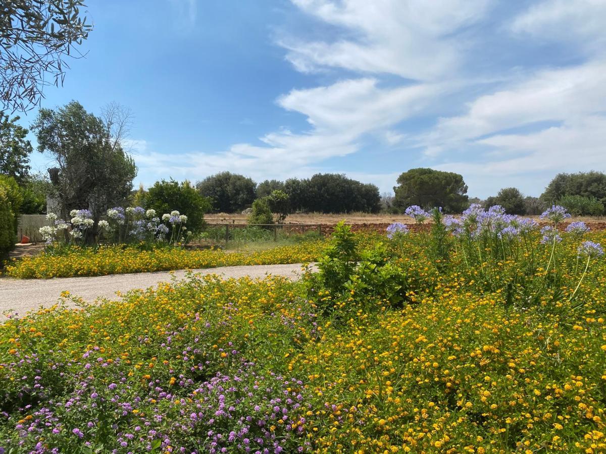 Casa Anna, Agriturismo Alla Castellana Gallipolli Exteriör bild