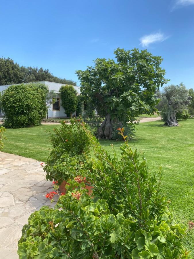 Casa Anna, Agriturismo Alla Castellana Gallipolli Exteriör bild